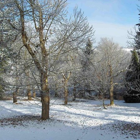 Chambres D'Hotes Le Chalet Condat-sur-Vienne Exteriér fotografie