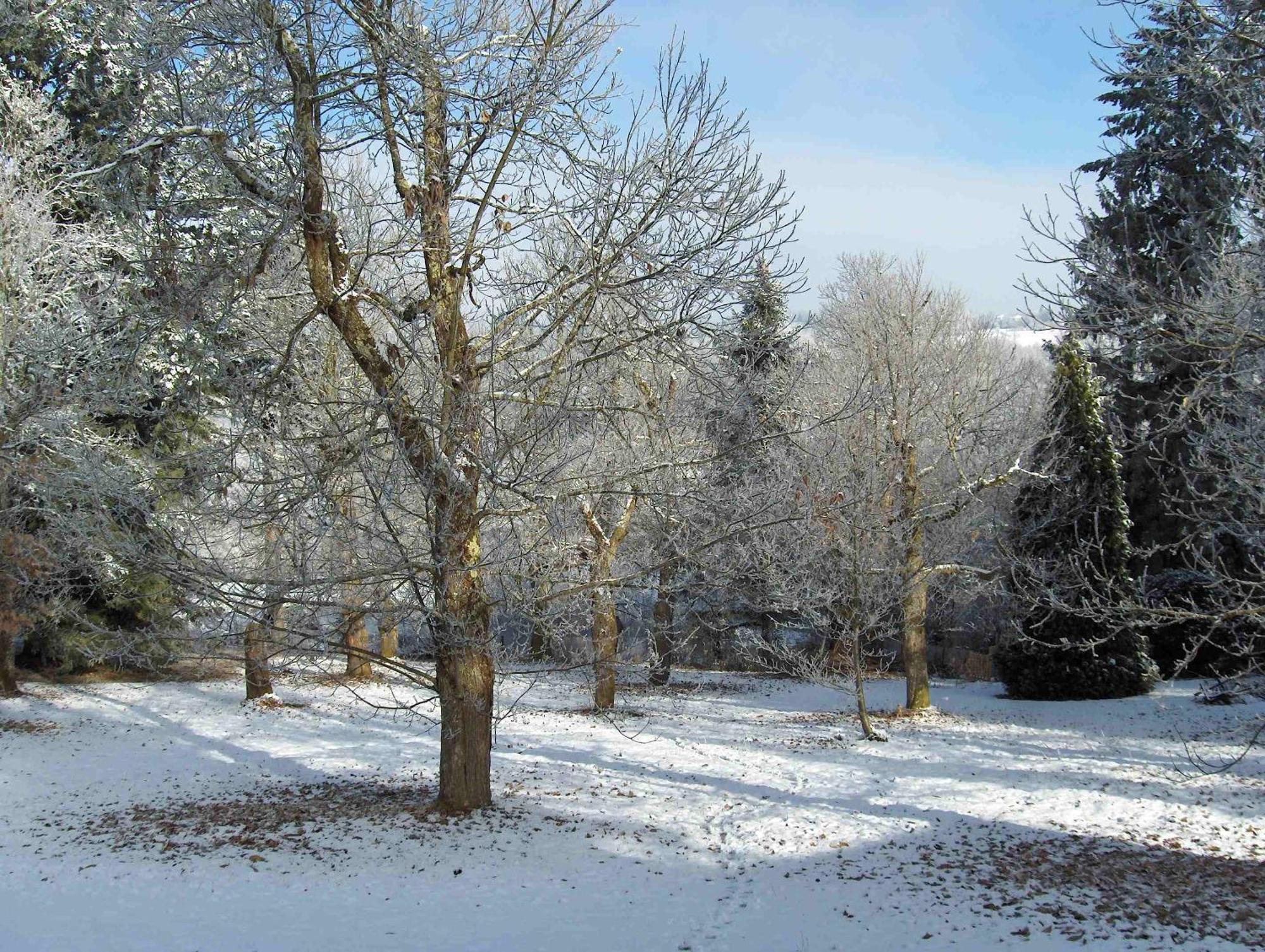 Chambres D'Hotes Le Chalet Condat-sur-Vienne Exteriér fotografie